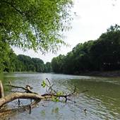 Coal River - ST. ALBANS