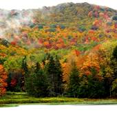 Lake Buffalo Recreation Area