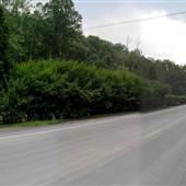 SHORT CREEK - Short Creek Road (CR 1)