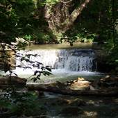 Tuscorora Creek @ Queen St