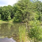 Ace Adventure Resort - Beaver Dam Lake