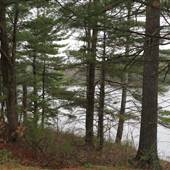 Moncove Lake State Park