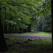 Dolly Sods Wilderness Area