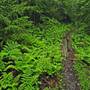 Gaudineer Knob