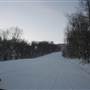 Canaan Valley Skiing