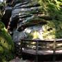 Beartown State Park