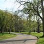 Ritter Park