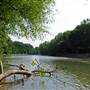 Coal River - ST. ALBANS