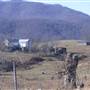 J.M. Simmons Farm