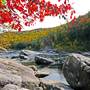 Cheat River Canyon