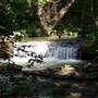 Tuscorora Creek @ Queen St