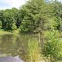 Ace Adventure Resort - Beaver Dam Lake