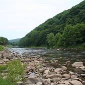 CASS - Greenbrier River