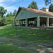 CHESTER CITY PARK - Assorted