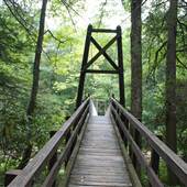 Blue Bend Recreation Area