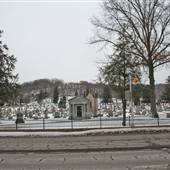 MT. CALVARY CEMETERY - Cemetery