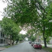MARTINSBURG - Raleigh Street