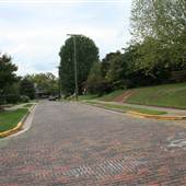 CHARLESTON - Maple Road