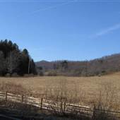 LAKE RILEY - Private Property [GILLOOLY]