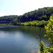 Upper Mud River Wildlife Management Area