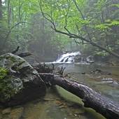 KUMBRABOW STATE FOREST - Mill Creek Falls