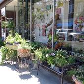 Historic Downtown Martinsburg