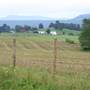 HILLSBORO - Farmlands North of Town