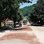 WILLIAMSON - 5th Avenue