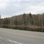 Highland Scenic Highway - 14, Bog by Falls of Hills Creek
