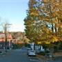 LEWISBURG - Randolph Street