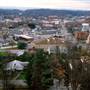 ELKINS - Overviews
