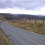 SINKS GROVE - Hickory Hill Road (CR 10/7)