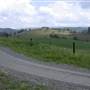 WILLOW BEND - Forest Bostic Road (CR 13/1)