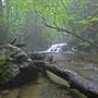 KUMBRABOW STATE FOREST - Mill Creek Falls