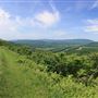 Panorama Overlook