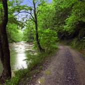 Mountain Parkway - Backway