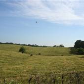 General Rogers Road & Buckingham Lane