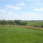 VALLEY GROVE - Rock Woods Road