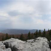 DOLLY SODS - Scenic Overlook