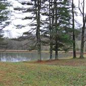 FAYETTE COUNTY PARK - Ponds