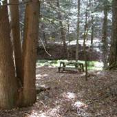 LOST RIVER STATE PARK - Picnic Area