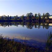 STONEWALL JACKSON LAKE STATE PARK & RESORT - Lake