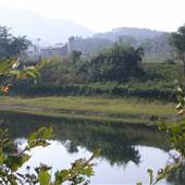 South Branch Potomac River - SPRINGFIELD