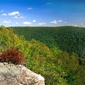 Snake Hill Wildlife Management Area
