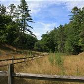 WATOGA STATE PARK - _Sampler