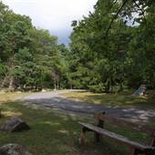 WATOGA STATE PARK - Cheek Memorial