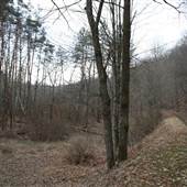 Greenbrier River Trail