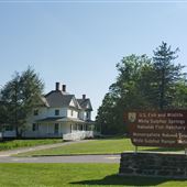 White Sulphur Ranger Station