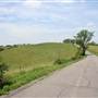 CR 8 - Chapel Hill Road