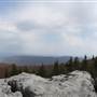 DOLLY SODS - Scenic Overlook